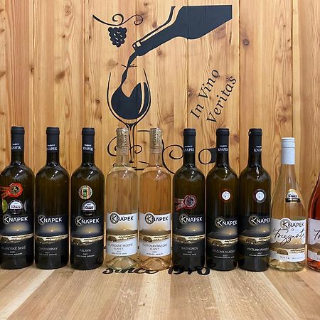 Vinarstvi & Penzion Knapek Strachotin Hotel Екстериор снимка
