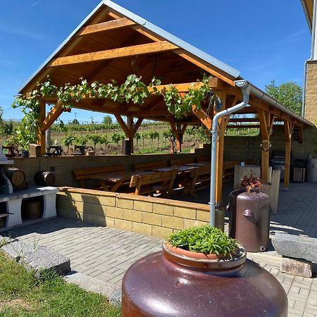 Vinarstvi & Penzion Knapek Strachotin Hotel Екстериор снимка