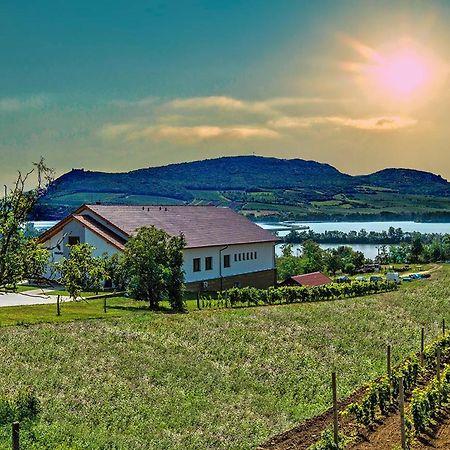 Vinarstvi & Penzion Knapek Strachotin Hotel Екстериор снимка
